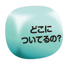 どこについてるの？
